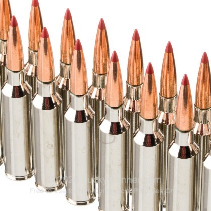 Large image of Hornady Outfitter 7mm PRC Ammo For Sale - 160 Grain CX - 20 Rounds