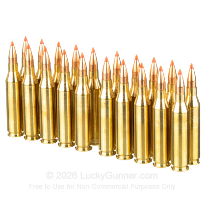 Large image of Premium 243 Ammo For Sale - 75 Grain V-MAX Ammunition in Stock by HSM Varmint - 20 Rounds