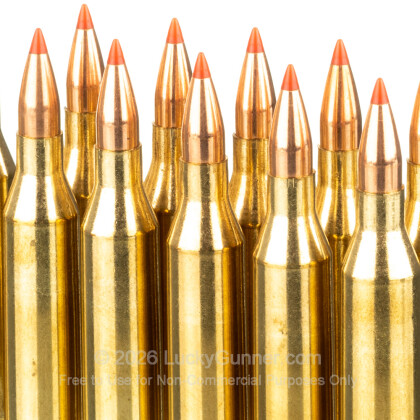 Large image of Premium 243 Ammo For Sale - 75 Grain V-MAX Ammunition in Stock by HSM Varmint - 20 Rounds
