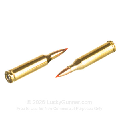 Large image of Premium 243 Ammo For Sale - 75 Grain V-MAX Ammunition in Stock by HSM Varmint - 20 Rounds