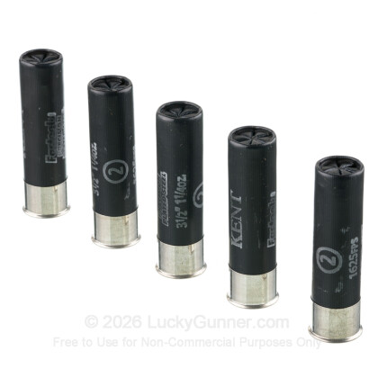 Large image of Premium 12 Gauge Ammo For Sale - 3-1/2 1-1/4oz. #2 Steel Shot Ammunition in Stock by Kent Fasteel 2.0 Precision Plated - 25 Rounds