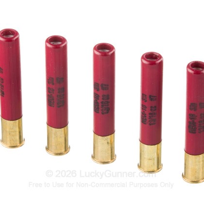 Image 5 of Hevi-Shot 410 Gauge Ammo