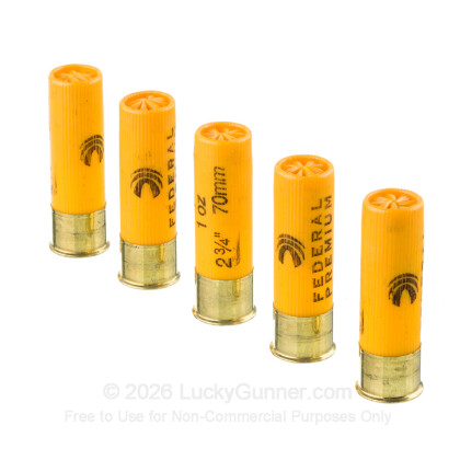 Image 4 of Federal 20 Gauge Ammo