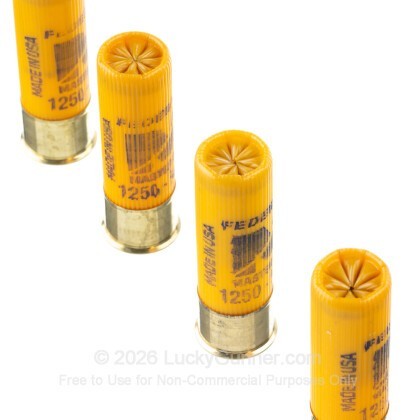 Image 5 of Federal 20 Gauge Ammo