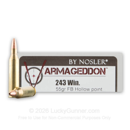 Image 1 of Nosler Ammunition .243 Winchester Ammo
