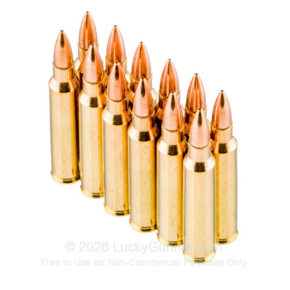 Image 4 of PMC .223 Remington Ammo