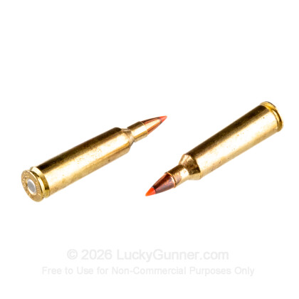 Large image of 22-250 Ammo - Fiocchi V-Max 55gr PT - 20 Rounds