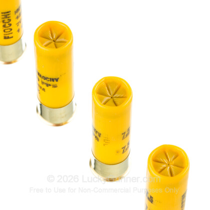 Image 5 of Fiocchi 20 Gauge Ammo