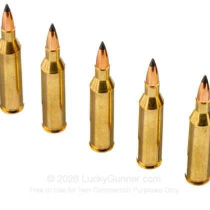 Large image of Armscor USA 243 Ammo For Sale - 70 Grain Varmageddon - 20 Rounds