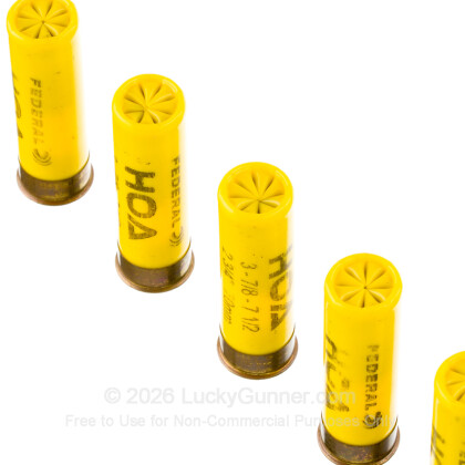 Image 5 of Federal 20 Gauge Ammo