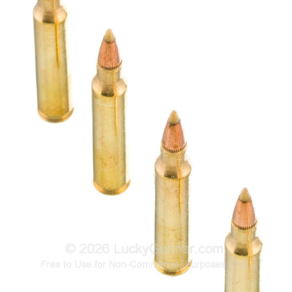 Image 5 of Remington .223 Remington Ammo