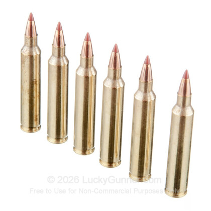 Image 4 of Hornady .204 Ruger Ammo