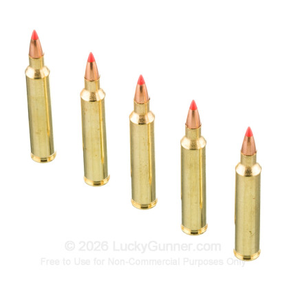 Large image of Premium 204 Ruger Ammo For Sale - 40 Grain V-Max Ammunition in Stock by Fiocchi - 50 Rounds