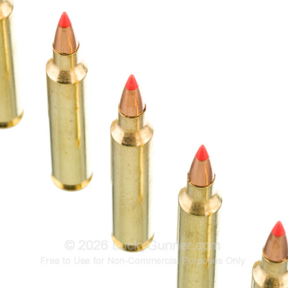 Large image of Premium 204 Ruger Ammo For Sale - 40 Grain V-Max Ammunition in Stock by Fiocchi - 50 Rounds