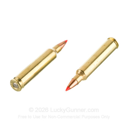 Large image of Premium 204 Ruger Ammo For Sale - 40 Grain V-Max Ammunition in Stock by Fiocchi - 50 Rounds