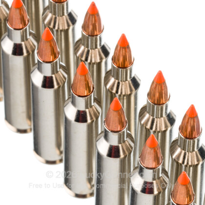 Image 5 of Underwood .22-250 Remington Ammo