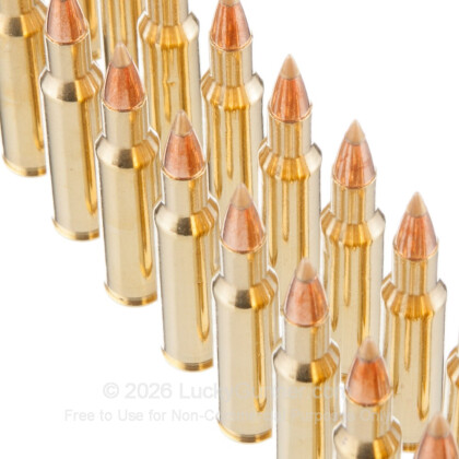 Image 5 of Remington .222 Remington Ammo