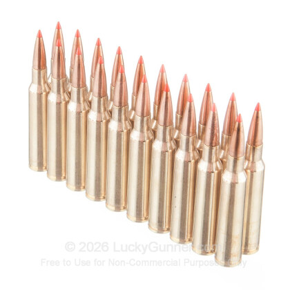 Large image of Cheap 6.5x55mm Swedish Ammo For Sale - 140 Grain SST Ammunition in Stock by Fiocchi - 20 Rounds