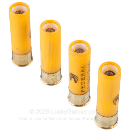 Image 5 of Federal Ammo from Federal Image 5 of Federal 20 Gauge Ammo