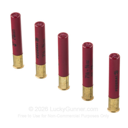 Image 4 of Federal 410 Gauge Ammo