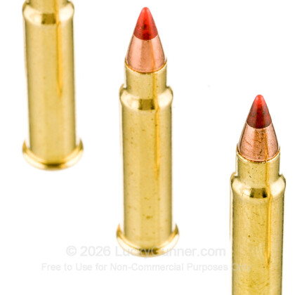 Image 5 of Hornady .17 HMR Ammo