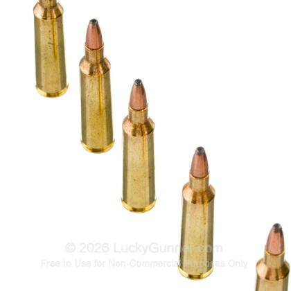 Image 5 of Remington .22-250 Remington Ammo