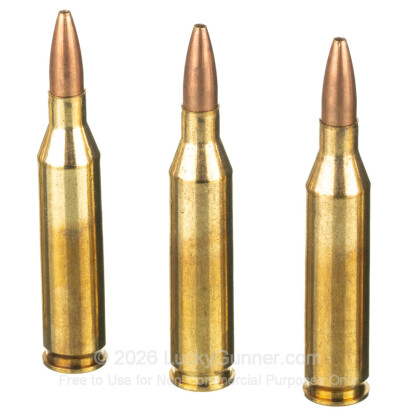 Image 5 of Winchester .243 Winchester Ammo