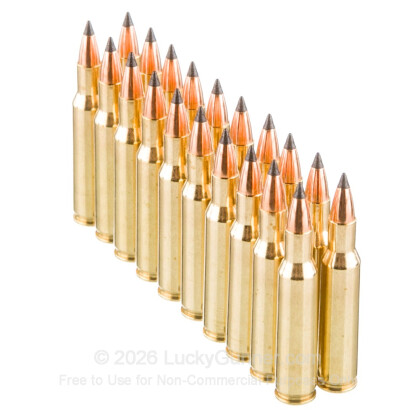 Image 4 of Nosler Ammunition .222 Remington Ammo