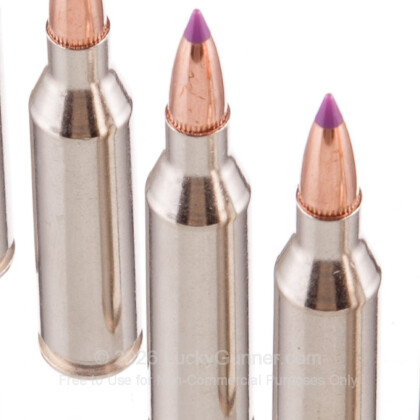 Image 5 of Federal .243 Winchester Ammo