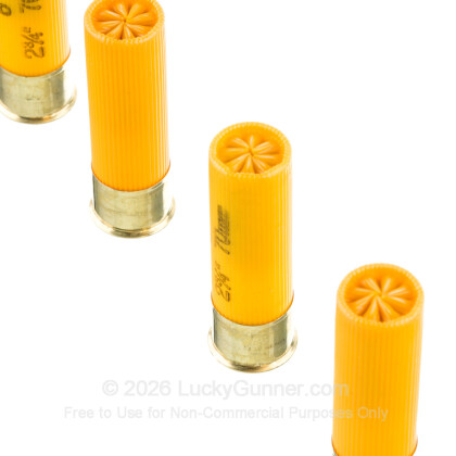 Image 5 of Federal 20 Gauge Ammo