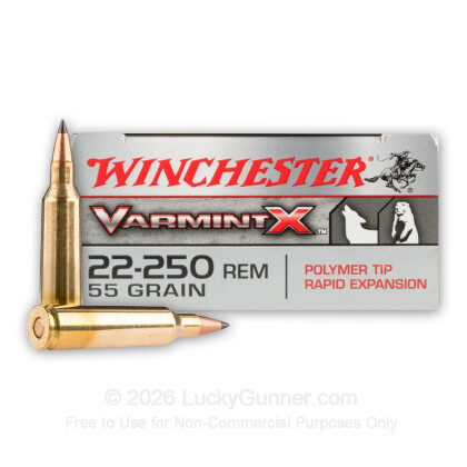 Large image of Cheap 22-250 Ammo For Sale - 55 Grain PT Ammunition in Stock by Winchester Varmint-X - 40 Rounds