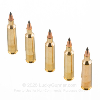 Large image of Cheap 22-250 Ammo For Sale - 55 Grain PT Ammunition in Stock by Winchester Varmint-X - 40 Rounds