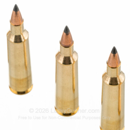 Large image of Cheap 22-250 Ammo For Sale - 55 Grain PT Ammunition in Stock by Winchester Varmint-X - 40 Rounds