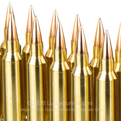 Image 5 of Nosler Ammunition 22 Nosler Ammo