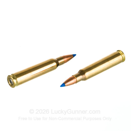 Image 6 of 223 Ammo from HSM Ammunition Image 6 of HSM Ammunition .223 Remington Ammo