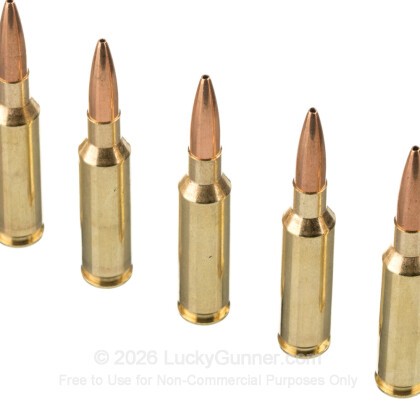 Image 4 of American Quality Ammunition 6.5mm Creedmoor Ammo