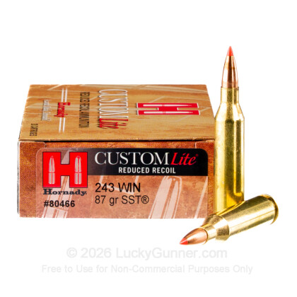 Image 2 of Hornady .243 Winchester Ammo