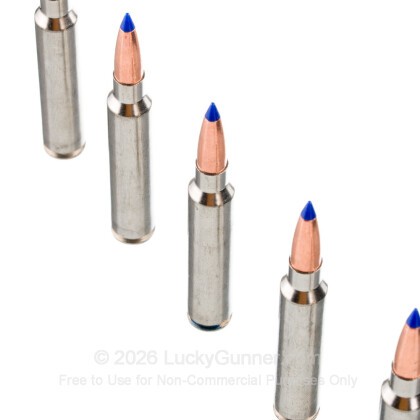 Large image of Federal 7mm Backcountry Ammo For Sale - 168 Grain LRX - 20 Rounds