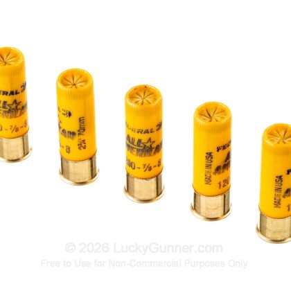 Image 5 of Federal 20 Gauge Ammo