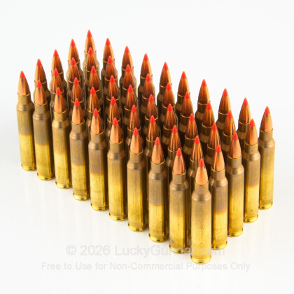 Large image of Premium 223 Rem Ammo For Sale - 50 Grain V-Max Ammunition in Stock by Black Hills Ammunition - 50 Rounds