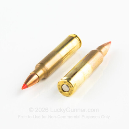 Large image of Premium 223 Rem Ammo For Sale - 50 Grain V-Max Ammunition in Stock by Black Hills Ammunition - 50 Rounds