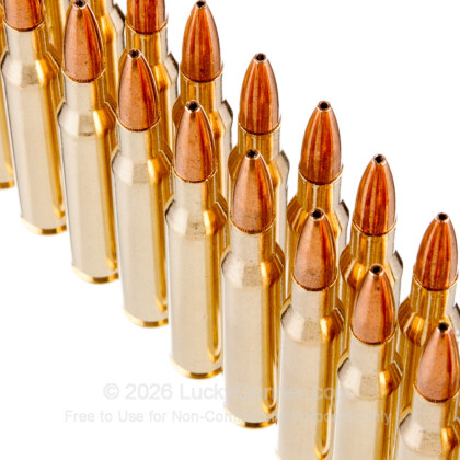 Large image of Premium 270 Ammo For Sale - 130 Grain HP Ammunition in Stock by Winchester Power Max - 20 Rounds