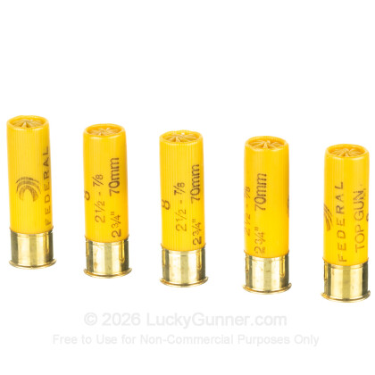 Image 4 of Federal 20 Gauge Ammo