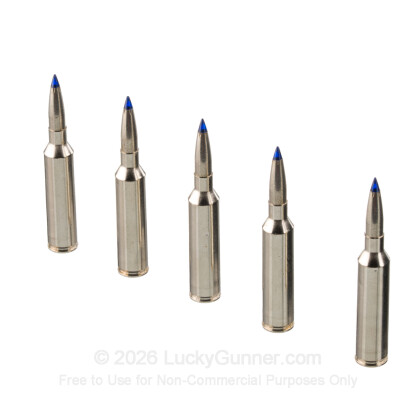 Large image of Federal 7mm PRC Ammo For Sale - 155 Grain Terminal Ascent - 20 Rounds