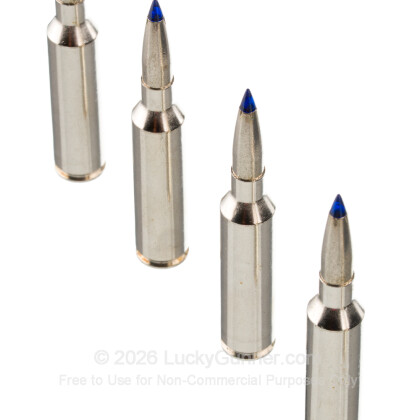 Large image of Federal 7mm PRC Ammo For Sale - 155 Grain Terminal Ascent - 20 Rounds