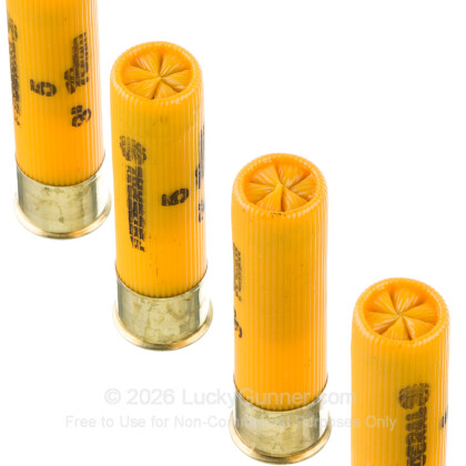 Image 5 of Federal 20 Gauge Ammo
