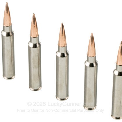 Large image of Federal 7mm Backcountry Ammo For Sale - 195 Grain Elite Hunter - 20 Rounds