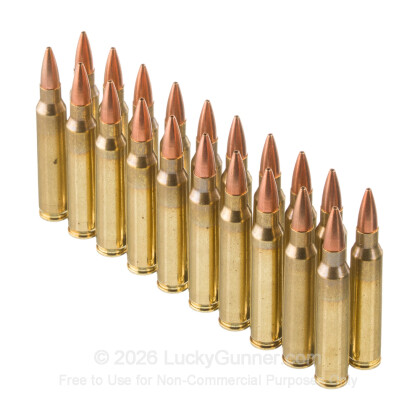 Image 4 of Fiocchi .223 Remington Ammo