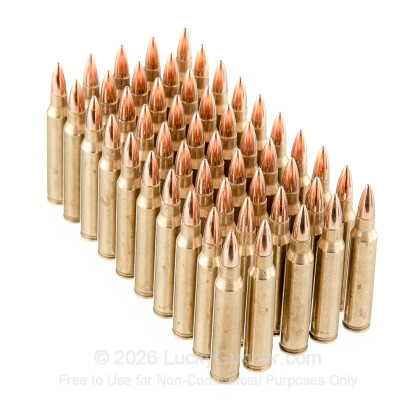 Large image of Premium 223 Rem Ammo For Sale - 55 Grain FMJ Ammunition in Stock by Black Hills Ammunition - 50 Rounds