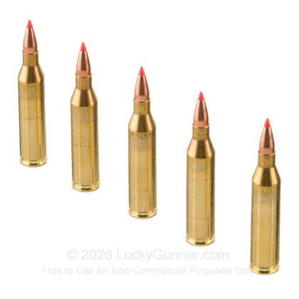 Image 4 of American Quality Ammunition .243 Winchester Ammo